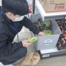 평창군보건의료원 이미지