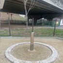 금곡동반려견놀이터 이미지