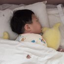 윤우목장 네이버블로그