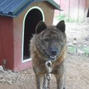 호피농장 이미지