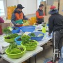 윤정희농장 이미지