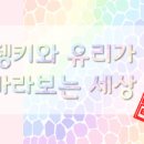 크리스마스자몽세종