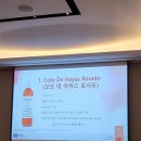 아야스시 이미지