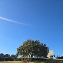 노바운더리 | 노바운더리 제주 전복리조또 내돈내산 후기