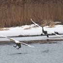 경안천 4 이미지