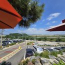 광판팔뚝김밥 이미지