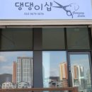나나애견미용 이미지