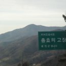 삶의터전
