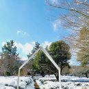 시고르스테이 이미지