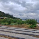 현풍농장 이미지