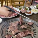 대전 근교맛집 금산 평화한우집 가성비 좋은 생갈비 솔직후기