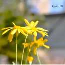 안산식물원 이미지