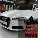 화이트(WHITE)