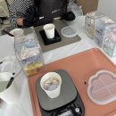 데이지멜트