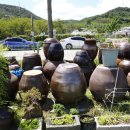 김해황금시대 이미지