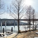 P-6201 | 북한강카페 아유스페이스 쉼이 있는 남양주 브런치맛집