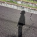 키다리석쇠불고기 이미지