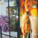 가맥노가리호프 이미지