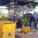 청암농장 이미지