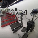 씨너지핏 이미지