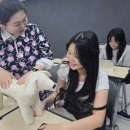 동양펫