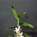 석곡농장 이미지