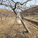 배준농장 이미지