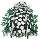 김자오 Daum카페