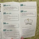 한성약국 | 사랑니 발치 _ 두번째(정보, 후기)🦷😬