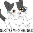 지경희동물병원 이미지