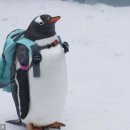 크로스핏 리치 이미지