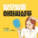 아마씨 효능과 아마씨 샴푸 만드는 방법 이미지