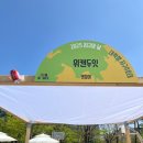 서울특별시립 장애인생산품판매시설 | 2025 "지구의 날 " 홍보 서포터즈 in 여의도공원