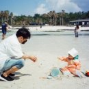 저팔계농장 이미지