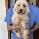 신광동물병원 이미지