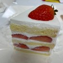 프레즌트15