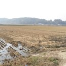 양도면-4 이미지