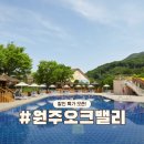 GS25원주장양 | 원주 오크밸리 리조트 할인 특가! 수영장 조식 패키지 힐스 밸리빌리지 차이점