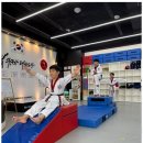 세종태권도 이미지