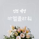 카멜플라워 | ★[인천 계양] 임학역 근처 가성비 좋은 꽃집 추천 '카멜플라워' 내돈내산 솔직후기