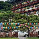 금강사유치원 | [1년 전 오늘] 금강사 어울림 콘서트