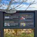 녹색농심인삼체험마을 이미지