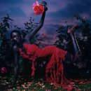 할리(HARLEY) 이미지