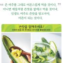 여주의 쓴맛을 없애는 방법 이미지