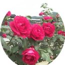 허들농장 이미지