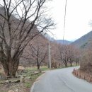 하송1리마을회관 이미지