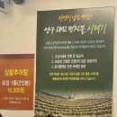 마산회원구 ⓕ-17 | [마산/호계]마산 내서 맛집 호계추어탕, 수육이 서비스로 나오는 찐맛집 솔직후기