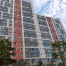 영진아파트 앞 2 이미지