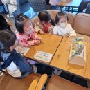 리프패럿동읍점 | <리프패럿 동읍점>창원 앵무새 카페 가격/이용시간