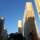 둥지농장2 이미지